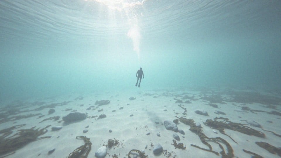 Jak freediving łączy się z naturą?