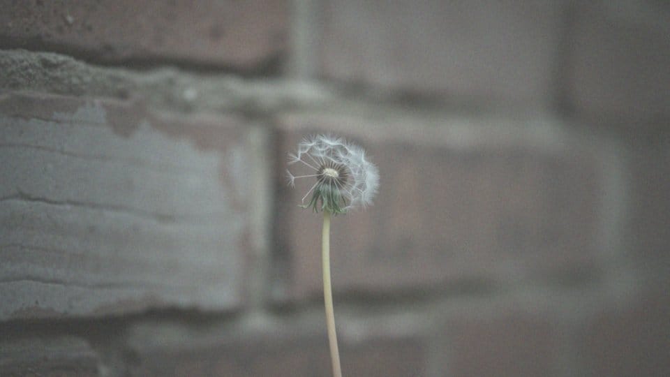 Czy astma jest groźna? Kluczowe informacje o ryzyku zdrowotnym