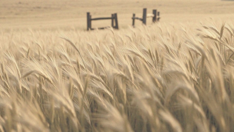 Ile się żyje z kardiowerterem-defibrylatorem? Kluczowe informacje