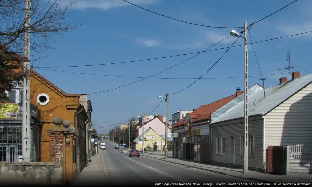Ogłoszenie o rozpoczęciu konsultacji społecznych dotyczących strategii rozwoju Staszowa