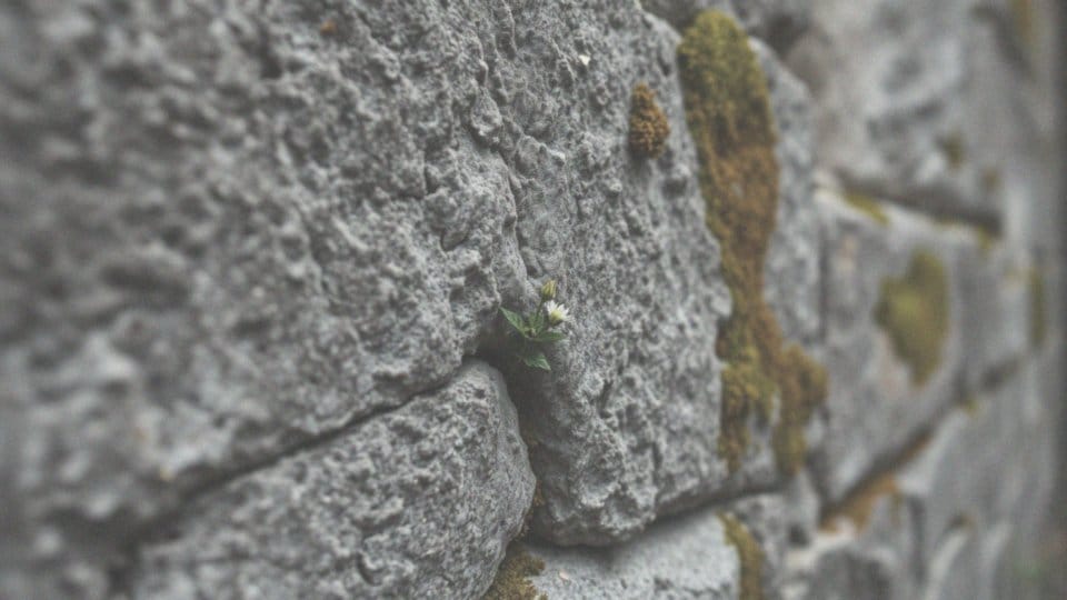Zmiany patologiczne – co to znaczy i jakie mają znaczenie dla zdrowia?